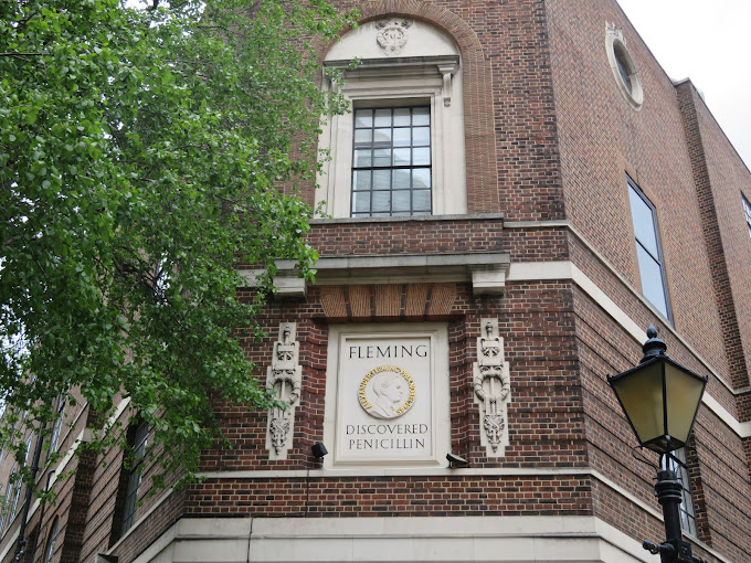 Alexander Fleming Museum Travel | Museums