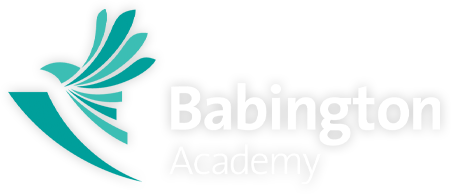 Babington Academy|Schools|Education