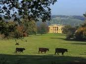 Basildon Park Travel | Museums