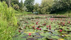 Bennetts Water Gardens Travel | Museums