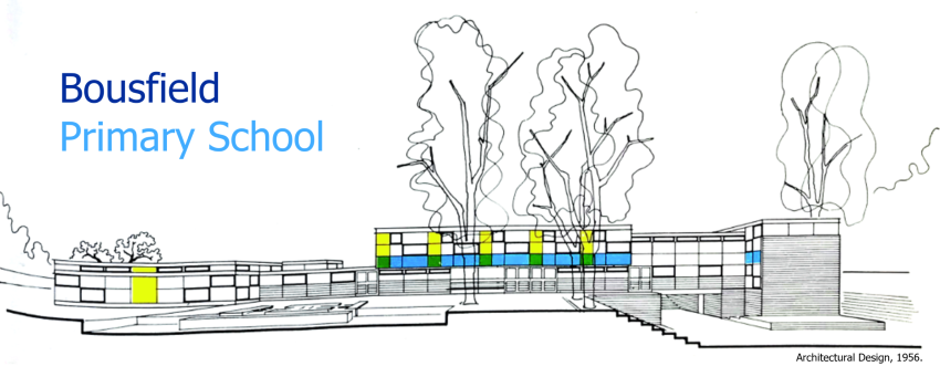 Bousfield Primary School|Universities|Education