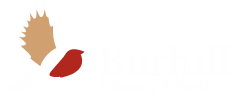 Burhill Primary School|Schools|Education