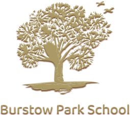 Burstow Park School - Logo