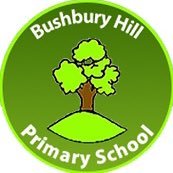 Bushbury Hill Primary School|Schools|Education