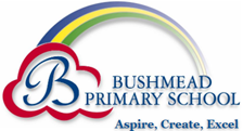 Bushmead Primary School|Universities|Education