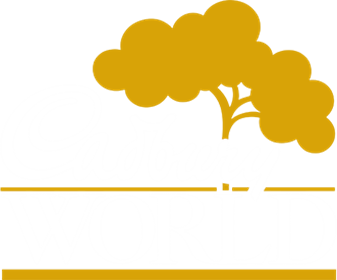 Cadbury World|Museums|Travel