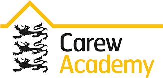 Carew Academy|Schools|Education