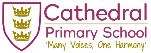 Cathedral Primary School|Schools|Education