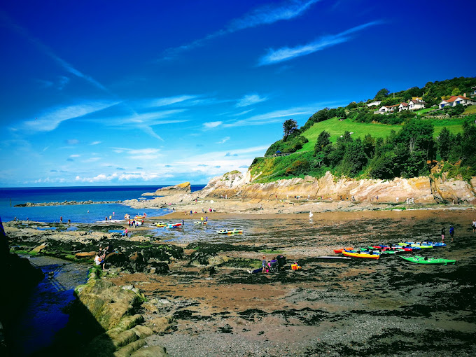 Combe Martin Museum - Logo