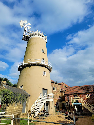 Denver Windmill - Logo