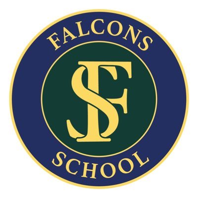 Falcons School|Universities|Education