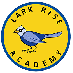 Lark Rise Primary Academy|Colleges|Education