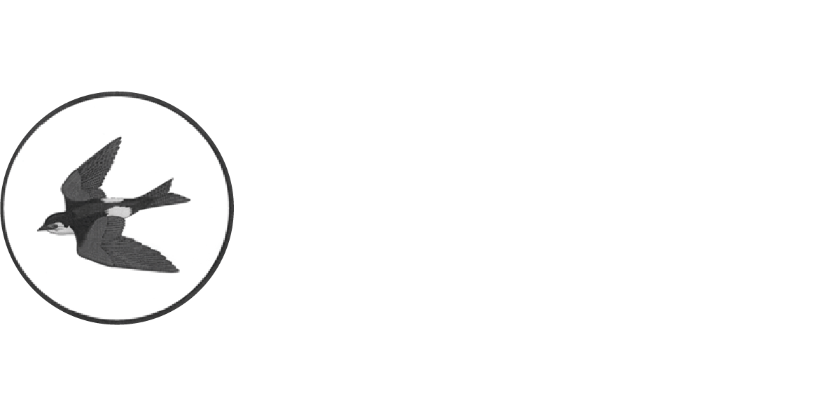 Littlehaven Infant School|Schools|Education