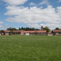 Mortimer St Mary's C Of E Junior School - Logo