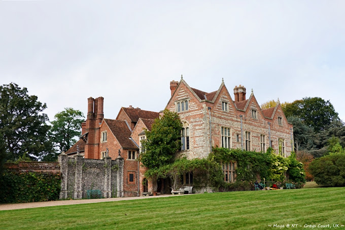 National Trust - Greys Court - Logo