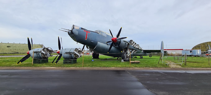 Newquay Museum|Museums|Travel