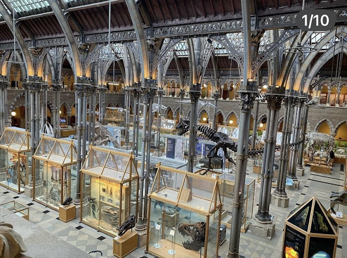 Oxford University Museum of Natural History Travel | Museums