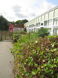 Priors Field Primary School Education | Schools