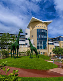 Royal Aberdeen Children's Hospital|Hospitals|Medical Services