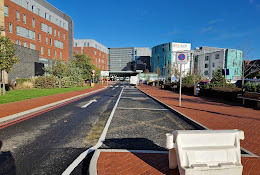 Royal Victoria Infirmary - Logo