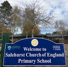 Salehurst C of E Primary School - Logo