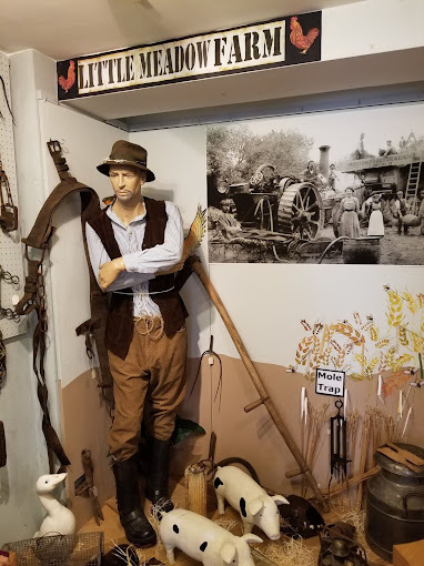 Saltash Museum Travel | Museums