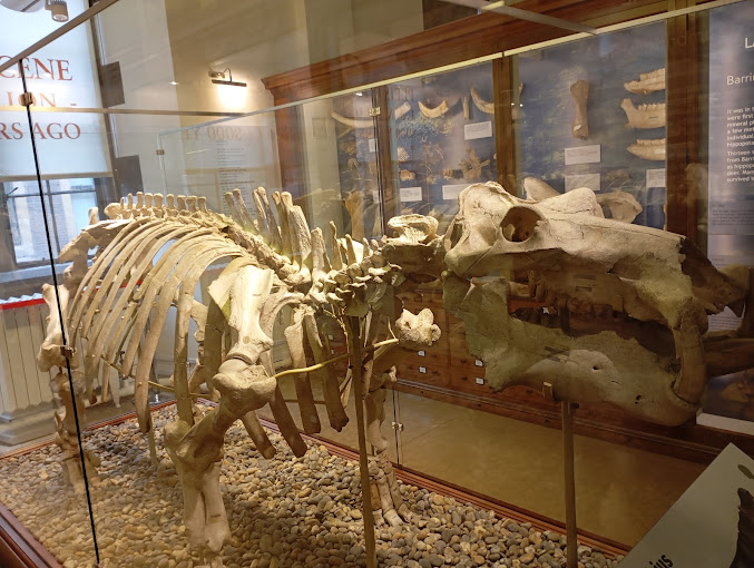 Sedgwick Museum of Earth Sciences Travel | Museums