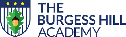 The Burgess Hill Academy - Logo