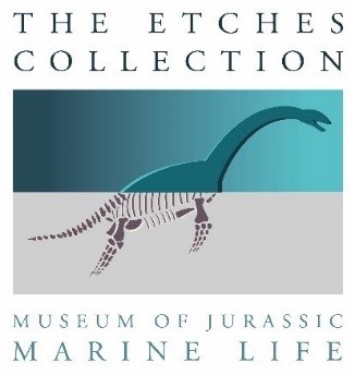 The Etches Collection Logo