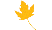 The Maplesden Noakes School Logo