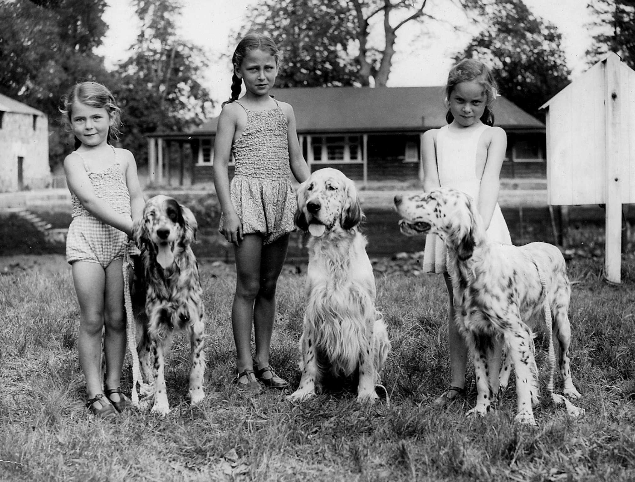 Totnes Image Bank and Rural Archive Travel | Museums