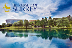 University of Surrey - Logo