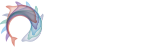 Varndean High School|Colleges|Education