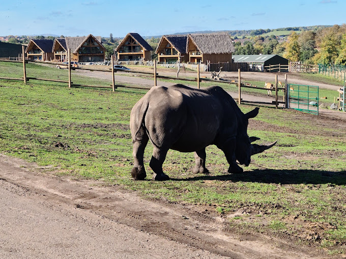 West Midlands Safari Park Entertainment | Theme Park