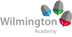 Wilmington Academy - Logo