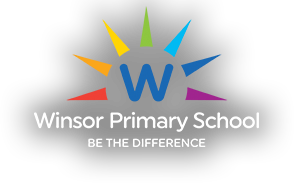 Winsor Primary School|Universities|Education