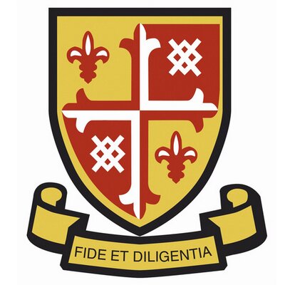 Woking High - Logo